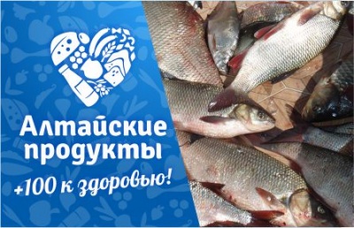 Телевизионная программа "Алтайская трапеза": Рыба