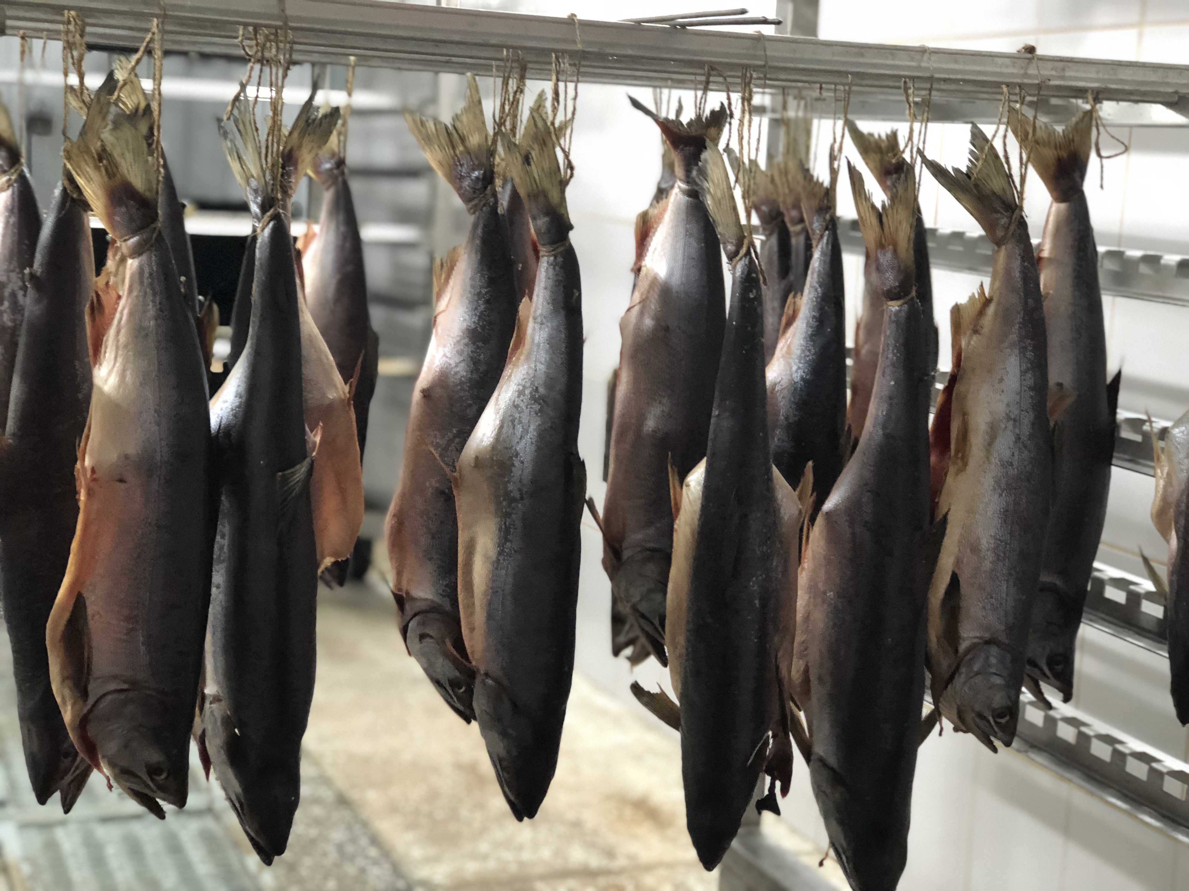 Алтайское предприятие запустило инновационный цех по переработке рыбы — новости, предприятий, Алтайские товары