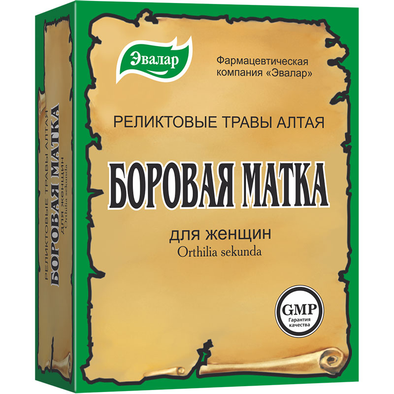 Боровая матка