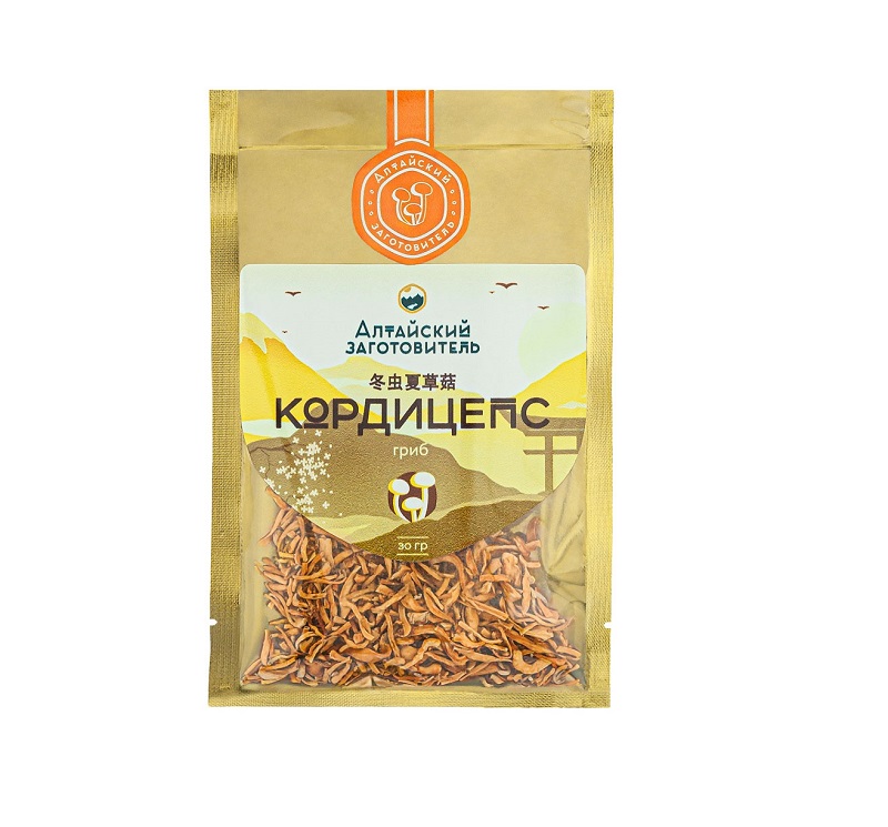 Кордицепс китайский гриб