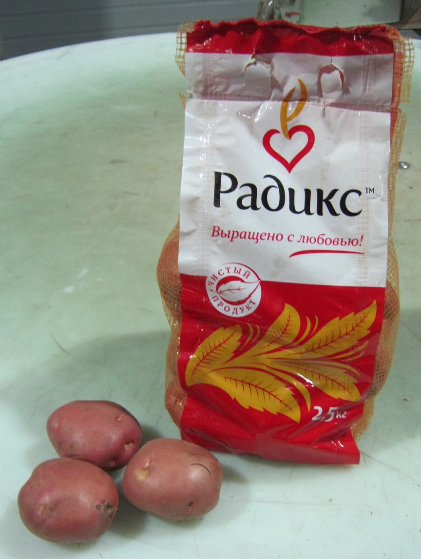 Картофель