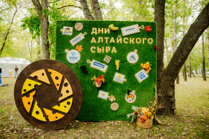 Фестиваль сыра пройдет в рамках гастрофестиваля «Алтайские бренды. Из сердца Алтая» 