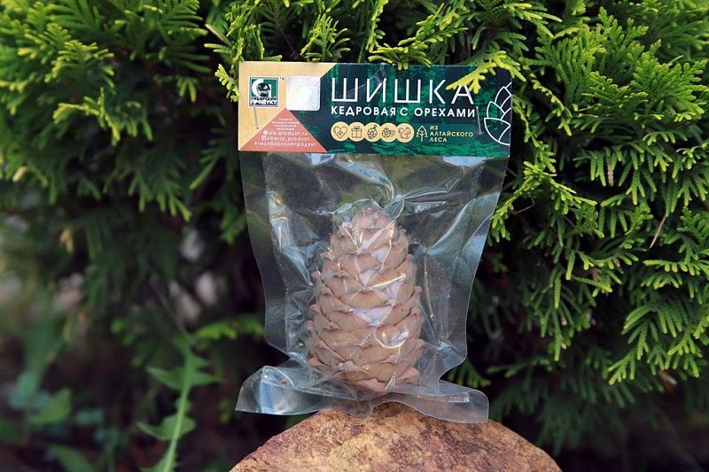 Орехи кедровые в шишке