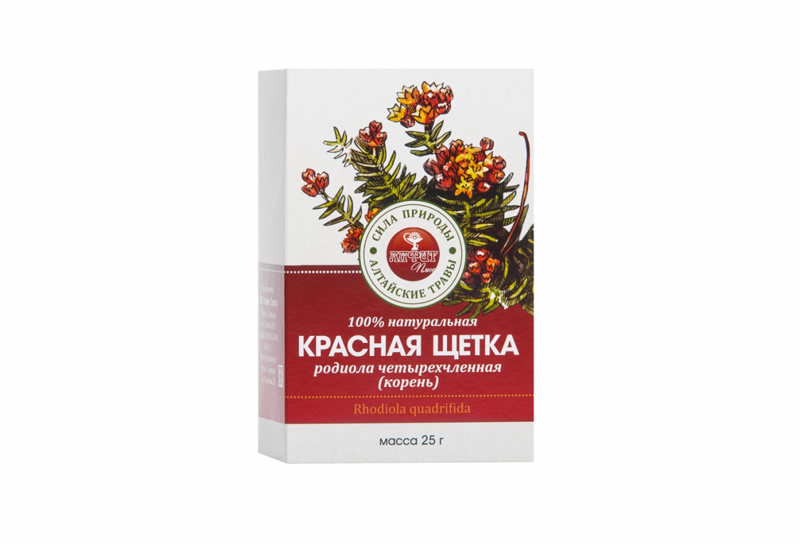 Красная щетка (родиола четырехчленная)
