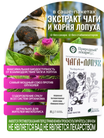 Чага+лопух